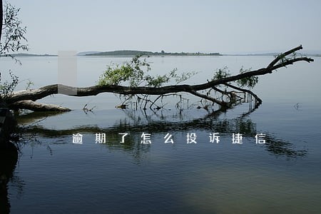 逾期了怎么投诉捷信 逾期了怎么投诉捷信