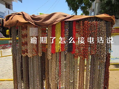 逾期了怎么接电话说 逾期了怎么接电话说