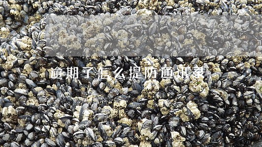 逾期了怎么提防通讯录 逾期了怎么提防通讯录