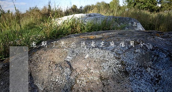 逾期了怎么提高芝麻信用分 逾期了怎么提高芝麻信用分