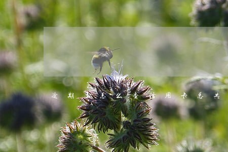 逾期了怎么查信用卡总共欠款 逾期了怎么查信用卡总共欠款