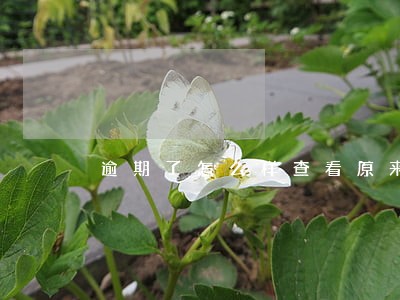 逾期了怎么样查看原来额度