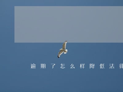 逾期了怎么样降低法律风险