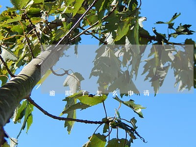 逾期了怎么申请