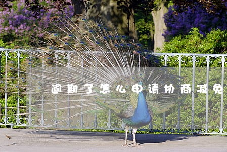 逾期了怎么申请协商减免比较划算 逾期了怎么申请协商减免比较划算