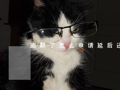 逾期了怎么申请延后还款