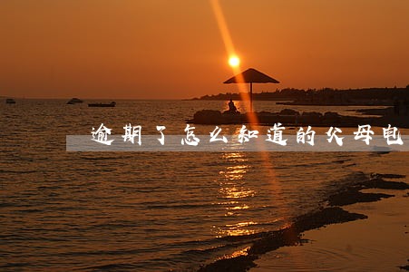 逾期了怎么知道的父母电话