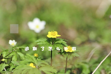 逾期了怎么补救 逾期了怎么补救