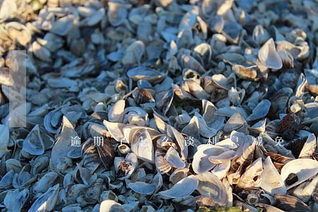 逾期了怎么谈利息减免 逾期了怎么谈利息减免