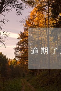 逾期了怎么贷款买车 逾期了怎么贷款买车
