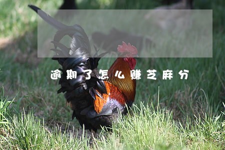 逾期了怎么赚芝麻分 逾期了怎么赚芝麻分