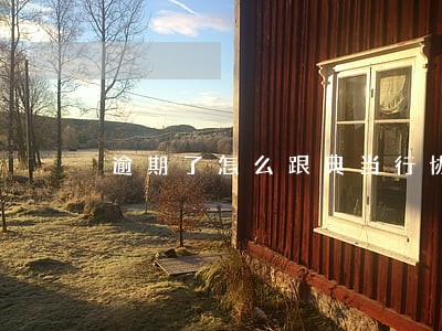 逾期了怎么跟典当行协商 逾期了怎么跟典当行协商