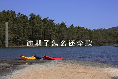 逾期了怎么还全款 逾期了怎么还全款