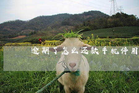 逾期了怎么还款手机停用 逾期了怎么还款手机停用