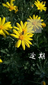 逾期了怎么还清欠款 逾期了怎么还清欠款