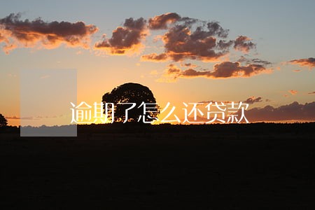 逾期了怎么还贷款 逾期了怎么还贷款