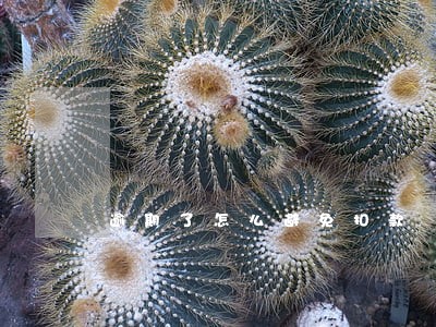 逾期了怎么避免扣款