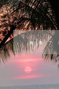 逾期了怎么避免被判定恶意逃避 逾期了怎么避免被判定恶意逃避
