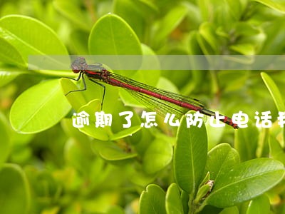 逾期了怎么防止电话我联系人 逾期了怎么防止电话我联系人