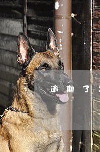 逾期了怎样借款 逾期了怎样借款