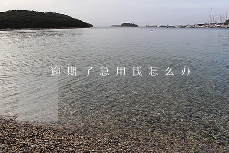 逾期了急用钱怎么办