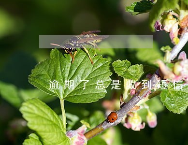 逾期了总是收到短信验证码 逾期了总是收到短信验证码