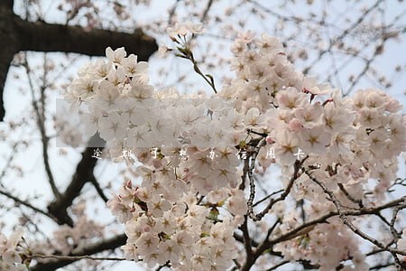 逾期了想办信用卡 逾期了想办信用卡