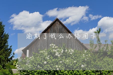 逾期了我么办信用卡 逾期了我么办信用卡