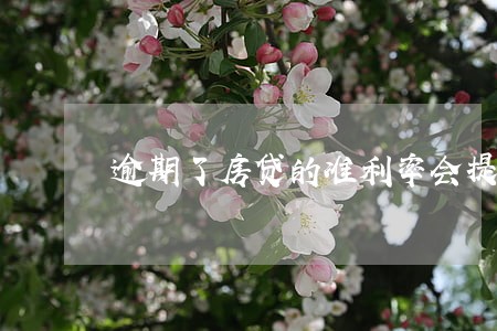 逾期了房贷的准利率会提高吗