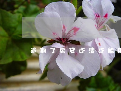 逾期了房贷还清还能用公积金吗 逾期了房贷还清还能用公积金吗