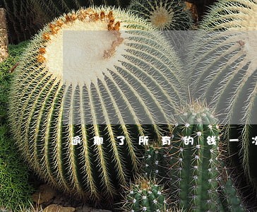 逾期了所有的钱一次性还清吗 逾期了所有的钱一次性还清吗