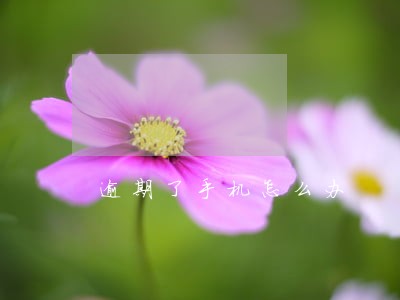 逾期了手机怎么办 逾期了手机怎么办