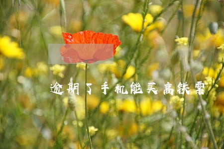 逾期了手机能买高铁票 逾期了手机能买高铁票