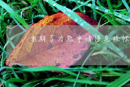 逾期了才能申请停息挂帐吗 逾期了才能申请停息挂帐吗