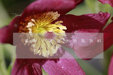 逾期了才能还清债务吗 逾期了才能还清债务吗