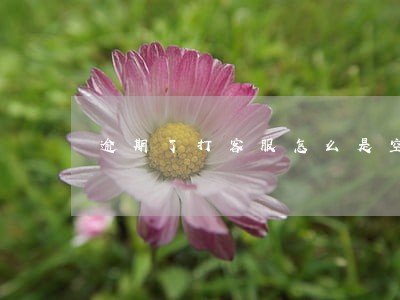 逾期了打客服怎么是空号 逾期了打客服怎么是空号
