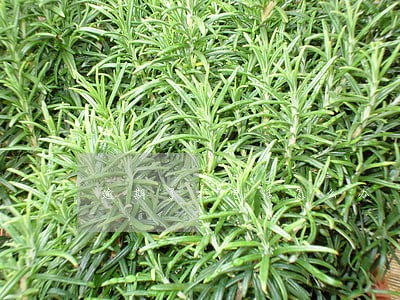 逾期了打电话怎么办 逾期了打电话怎么办
