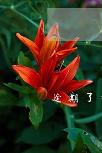 逾期了打电话给家人朋友 逾期了打电话给家人朋友
