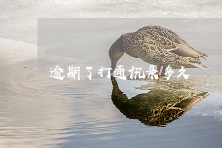逾期了打通讯录多久