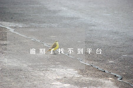 逾期了找不到平台 逾期了找不到平台