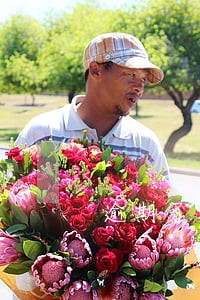 逾期了担保人要担责任吗 逾期了担保人要担责任吗