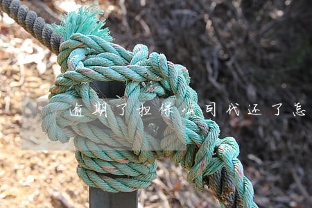 逾期了担保公司代还了怎么解决 逾期了担保公司代还了怎么解决