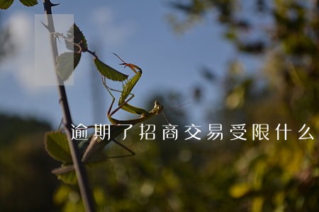 逾期了招商交易受限什么意思 逾期了招商交易受限什么意思