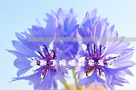 逾期了按揭能买车吗 逾期了按揭能买车吗