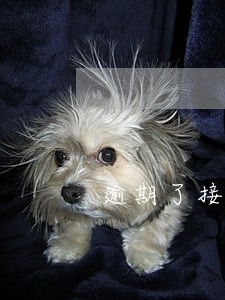 逾期了接电话吗怎么说 逾期了接电话吗怎么说