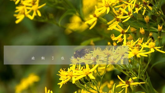 逾期了收到的短信可信吗 逾期了收到的短信可信吗
