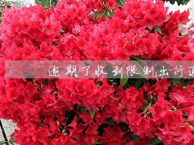 逾期了收到限制出行通告什么意思 逾期了收到限制出行通告什么意思