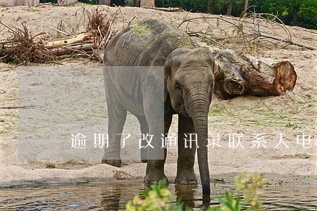 逾期了改通讯录联系人电话有用吗 逾期了改通讯录联系人电话有用吗