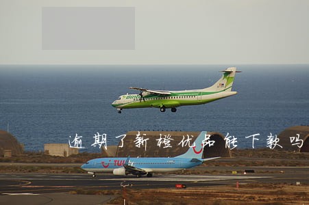 逾期了新橙优品能下款吗 逾期了新橙优品能下款吗