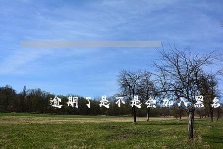 逾期了是不是会加入黑名单 逾期了是不是会加入黑名单